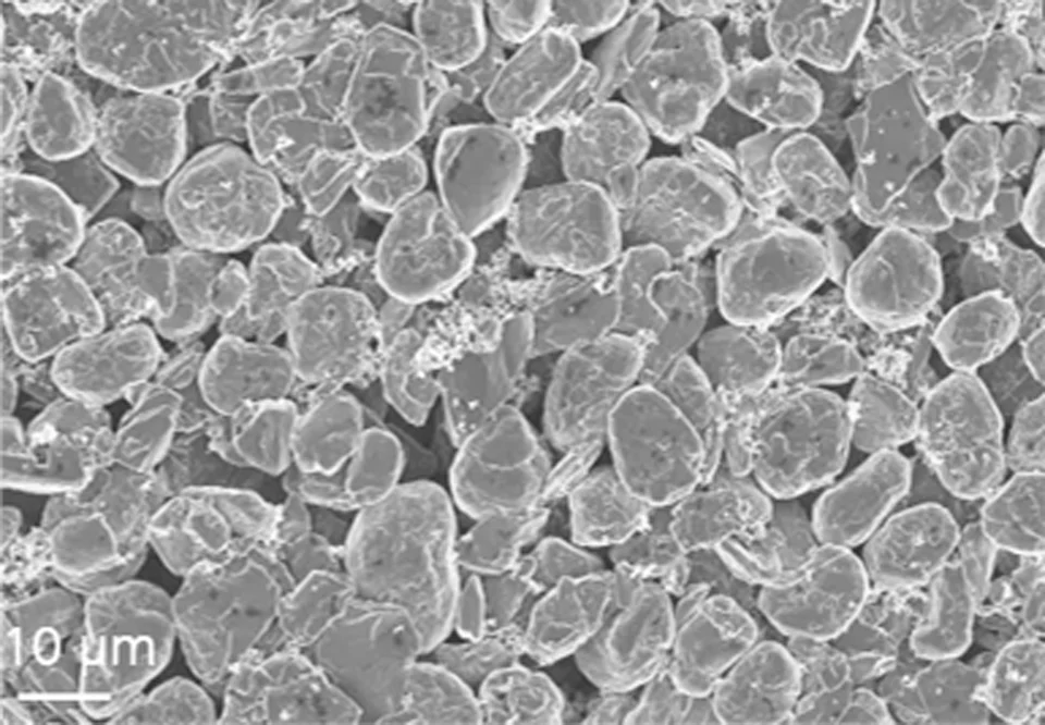 battery electrode compounds SEM picture graphite particles dry