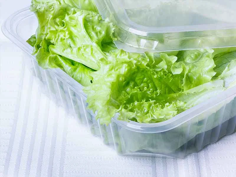 Box aus Biokunststoff zur Aufbewahrung von frischem Salat aus compoundierten Biopolymeren