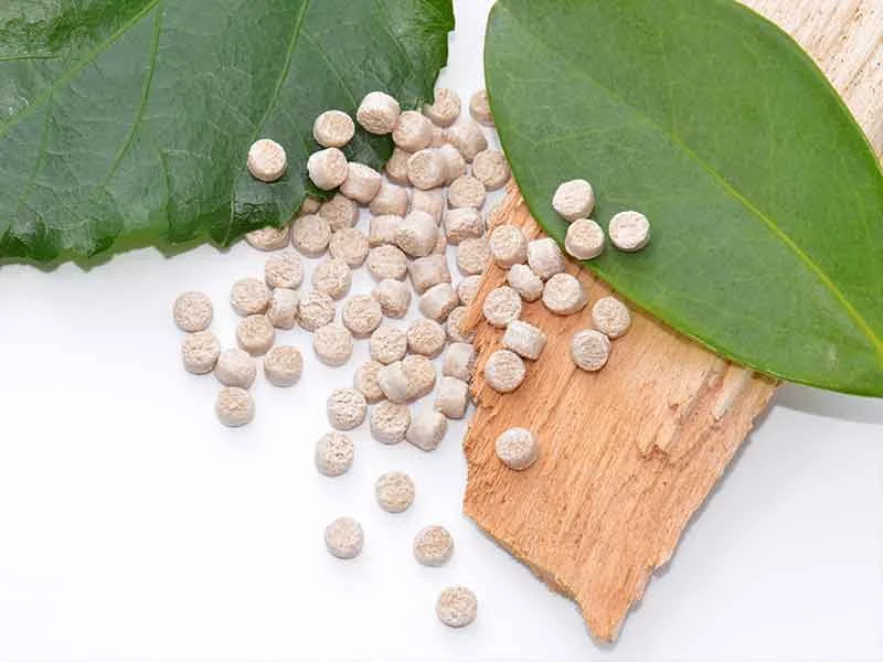 Granulat aus Biokunststoffen auf einem Compoundiersystem hergestellt, dekorativ auf frischen Blättern präsentiert