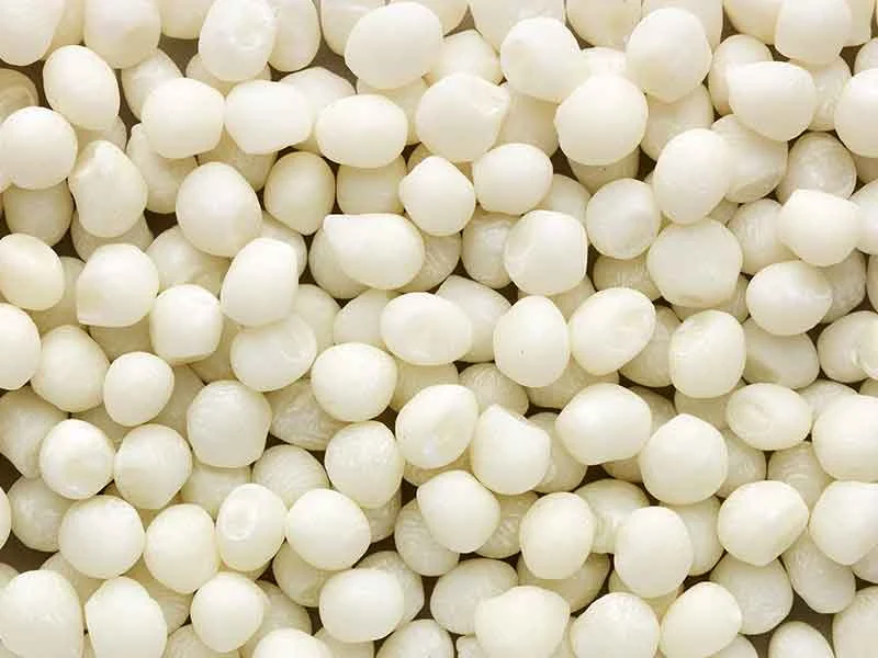 White gum base granulates from a gum base compounding line