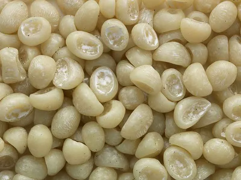 Yellowish PIB pellets, produced in a compounding plant